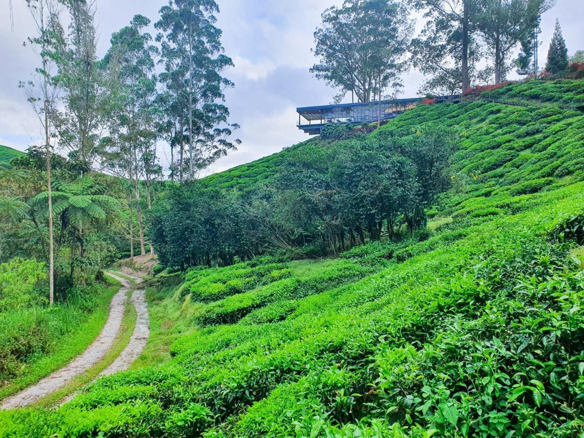 Mossy Forest Family Retreat, Kea Farm Brinchang Daire Dış mekan fotoğraf