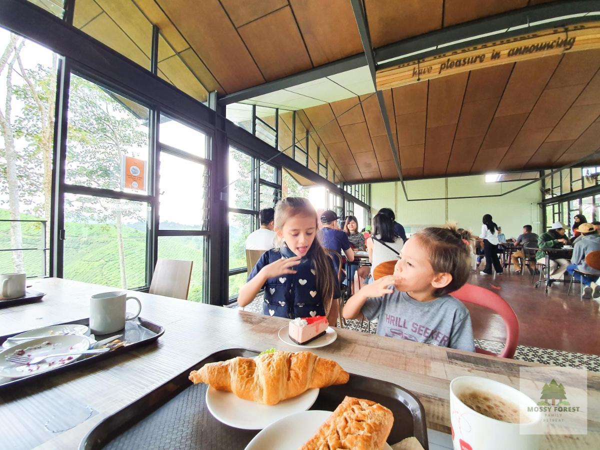 Mossy Forest Family Retreat, Kea Farm Brinchang Daire Dış mekan fotoğraf